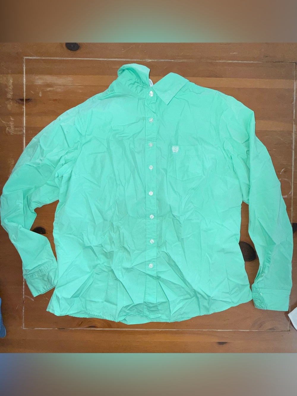 Cinch Men's Button-Down Shirt - Mint